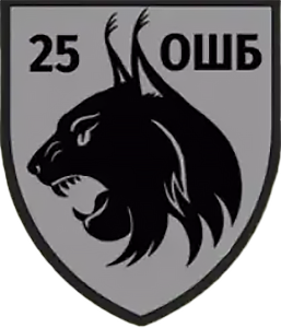 25 окремий штурмовий батальйон