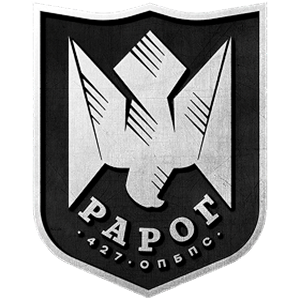 427 окремий полк безпілотних систем «Рарог»